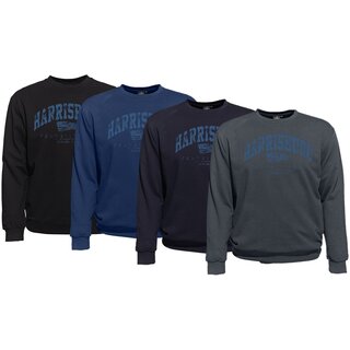bergren Sweatshirt AHORN SPORTSWEAR Harrisburg blau 3...