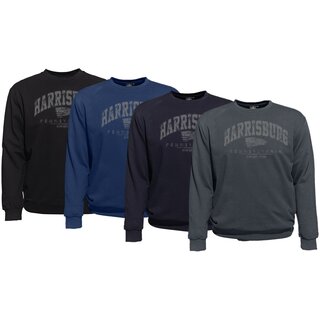 bergren Sweatshirt AHORN SPORTSWEAR Harrisburg Grau 3...