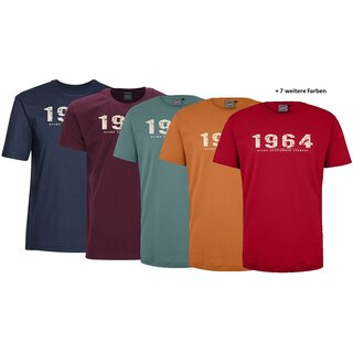 bergren T-Shirt AHORN SPORTSWEAR 12 Farben Vintage...