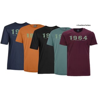bergren T-Shirt AHORN SPORTSWEAR 13 Farben Vintage...