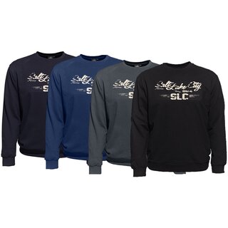 bergren Sweatshirt AHORN SPORTSWEAR SLC beige 4 Farben...