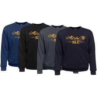 bergren Sweatshirt AHORN SPORTSWEAR SLC orange 4...