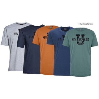 bergren T-Shirt AHORN SPORTSWEAR 13 Farben New...