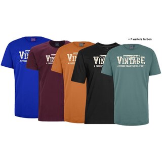 bergren T-Shirt AHORN SPORTSWEAR 12 Farben Vintage...
