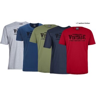 bergren T-Shirt AHORN SPORTSWEAR 12 Farben Vintage...