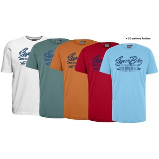bergren T-Shirt AHORN SPORTSWEAR 15 Farben Super Bike...
