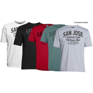 bergren T-Shirt AHORN SPORTSWEAR 15 Farben San Jose...