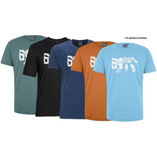 bergren T-Shirt AHORN SPORTSWEAR 13 Farben OSG 64 wei...