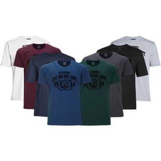 Übergrößen T-Shirt AHORN SPORTSWEAR 8 Farben Legandary Ball Game 3XL-10XL