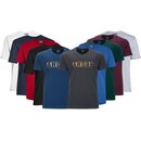 Übergrößen T-Shirt AHORN SPORTSWEAR 10 Farben Traditional...