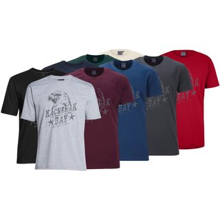 Übergrößen T-Shirt AHORN SPORTSWEAR 9 Farben Eagle grau 3XL-10XL
