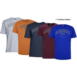 bergren T-Shirt AHORN SPORTSWEAR 12 Farben Harrisburg...