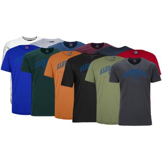 bergren T-Shirt AHORN SPORTSWEAR 12 Farben Harrisburg...