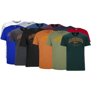 bergren T-Shirt AHORN SPORTSWEAR 12 Farben Harrisburg...